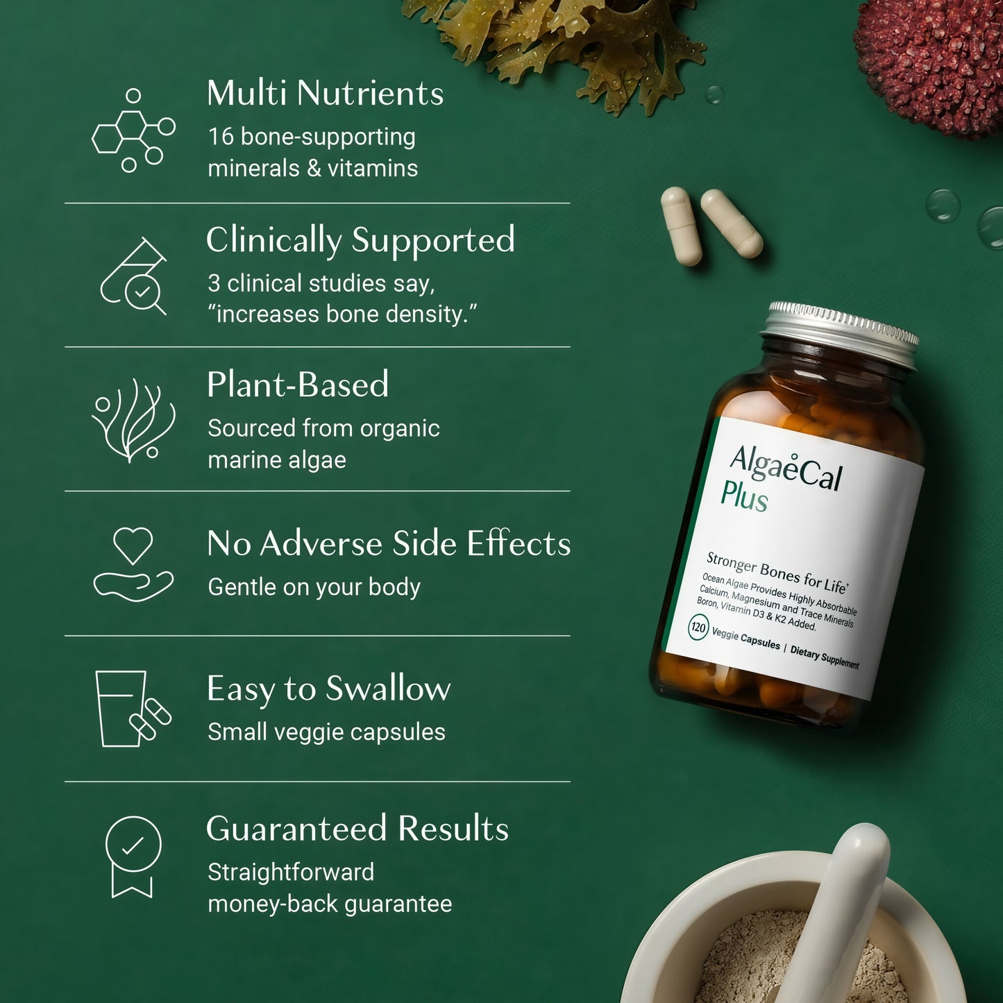 ALGAECAL Plus Calcium Vitamin 120 Caps