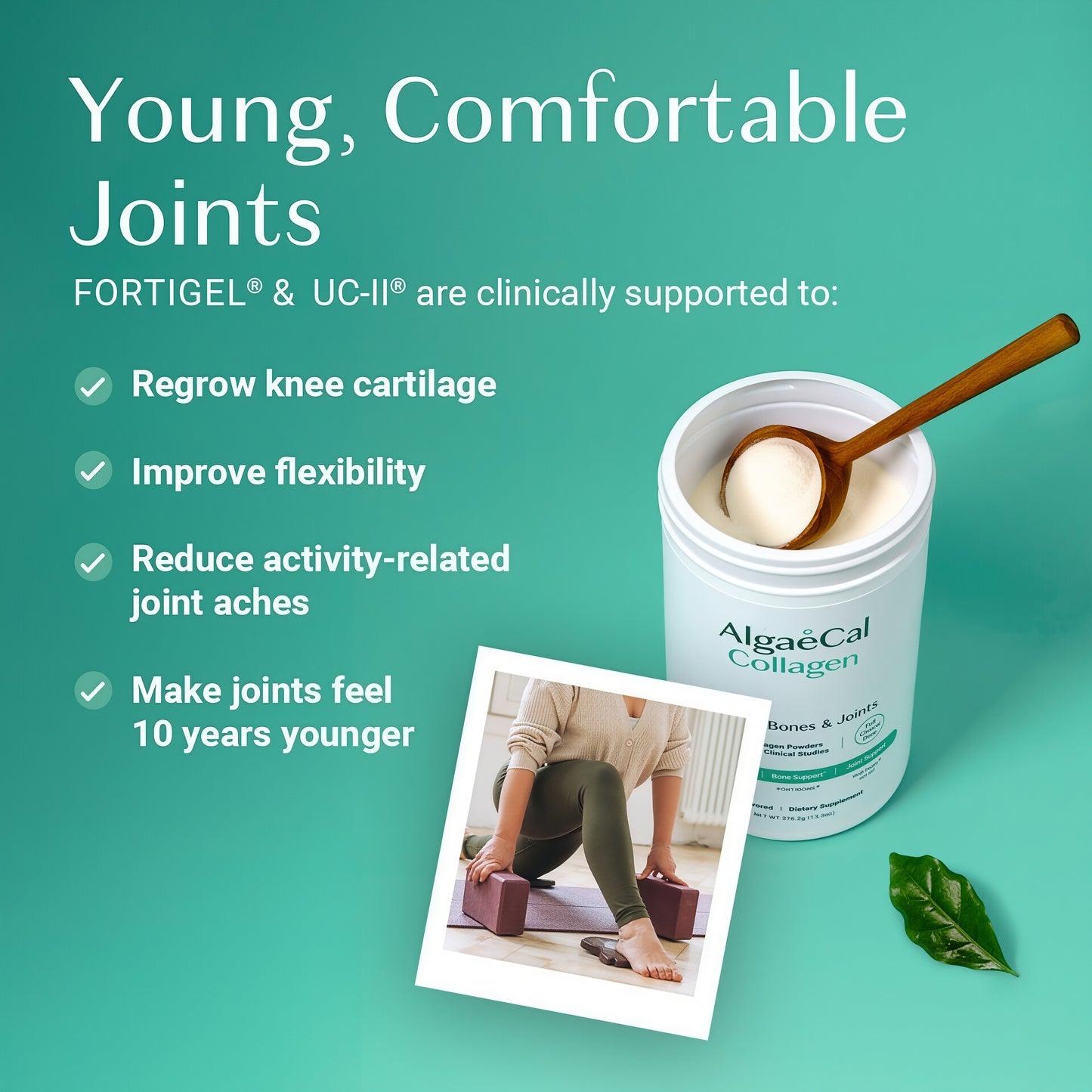 ALGAECAL Anti Aging Collagen Powder 30 Servings